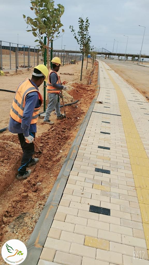 WhatsApp Image 2025-07-18 at 10.15.29 PM