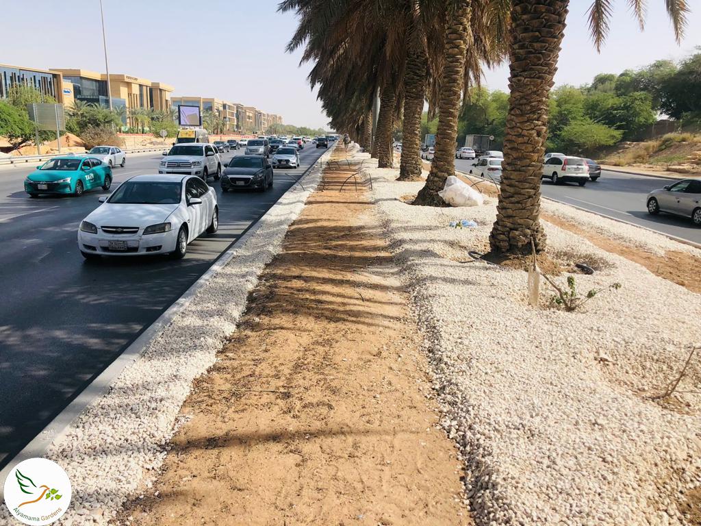 WhatsApp Image 2025-07-18 at 10.17.03 PM (1)