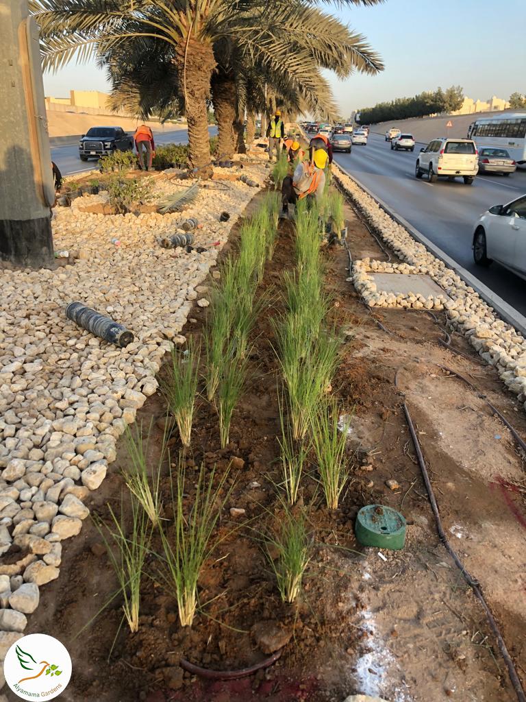 WhatsApp Image 2025-07-18 at 10.17.03 PM