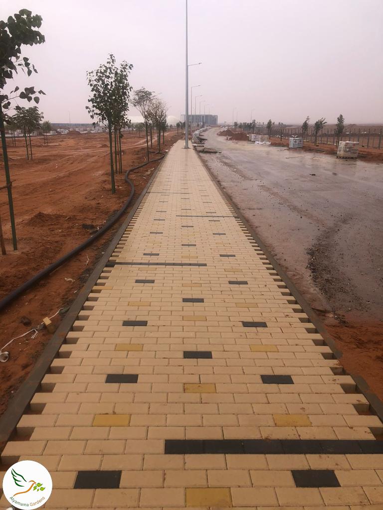 WhatsApp Image 2025-07-18 at 10.17.04 PM (2)