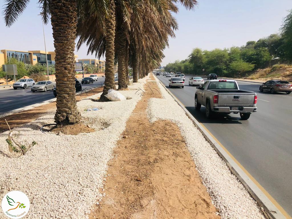 WhatsApp Image 2025-07-18 at 10.17.04 PM