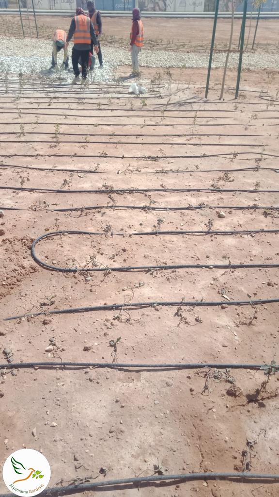 WhatsApp Image 2025-07-18 at 10.17.05 PM (1)