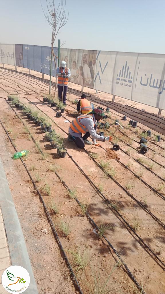 WhatsApp Image 2025-07-18 at 10.17.05 PM